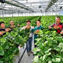 청도군-15 이미지