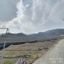 재덕공인중개사 사무소 이미지