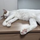 (주)진환 이미지