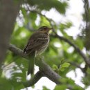 안흥초신진분교 이미지