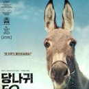 이오(EO) 이미지