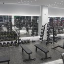 나홀로짐 이미지