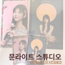 [서울|서초] 문라이트스튜디오에서 플라워, 타로 컨셉촬영 후기 :: 양재스튜디오, 컨셉스튜디오