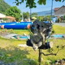 나무향기 펜션 이미지