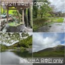 온리엘투어 | 근교 여행, 유후인온리 버스투어 “유투어버스” | 버스투어 솔직 후기 / 가족 여행 유후인 코스 추천...