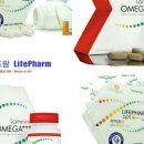 웰리스팜 이미지