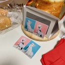 대추사진관 이미지
