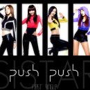 푸쉬푸쉬(PUSH PUSH) 이미지