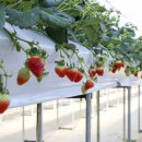 군남농장 이미지