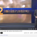 채널 A와 국힘갤 근황 이미지