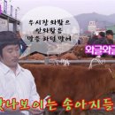 육객 네이버블로그