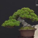 대야원 이미지