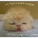 오나가 이미지