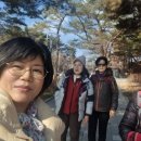 소일하 이미지