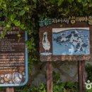 볼음도저어새생태마을 이미지