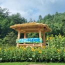 휴(休)스테이 이미지