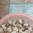 원정리마을회관 이미지