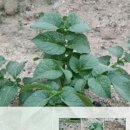 소현농장 이미지