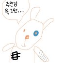 다윤약손 이미지
