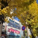 연세닥터주치과의원 이미지