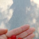 단양농협 대강지점 이미지