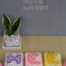 네모의꿈 이미지