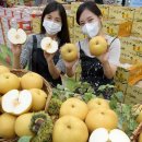 화산유통 이미지