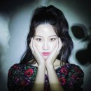 신델렐라 이미지