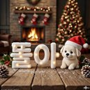 샘펫스튜디오 | 애견 간식 디저트는 광주 수제 케이크 샘펫스튜디오가 원탑