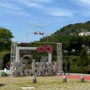 효자동 문화예술회관 진입로 | 🌹2025삼척장미축제🌹 미리 다녀오기! 현재 장미 개화 상황