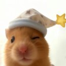 교동목욕탕 | “의정부 맛집” 전국5대짬뽕 교동짬뽕 | 짬뽕•유니짜장•등심 탕수육 솔직후기