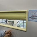 슬기로운 댕댕 유치원 이미지