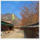 삼향-24 | 주왕산 인삼튀김 산촌식당 재방문, 청송 갈 때마다 먹고오는 간식