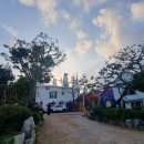 동화나라 애견 이미지