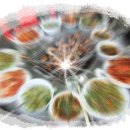 경자농장 이미지