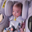 G5-1 | 바구니카시트 신생아카시트 사용시기, 주의사항/오르빗g5 사용 후기