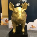 황금돼지컴퍼니 이미지