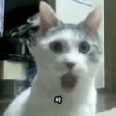 깜짝 네이버블로그