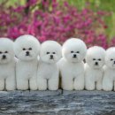 워킹포드림 이미지