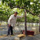 도순농장 이미지