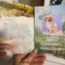 너와펫(PET) 이미지