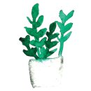 더 (The) 달퐁 이미지