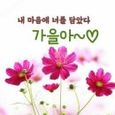 9월 12일 일요일 간추린 뉴스 이미지