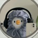 영원중학교 | [2025년 1회차 JLPT N3] 청해 말아먹은 후기 (+서울 영원중학교)