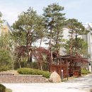 도시풍경공인중개사사무소 네이버블로그
