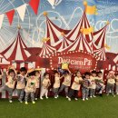 데이파크(1) Daum카페