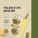 올리브 농장 이미지