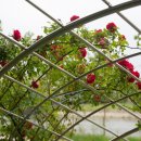 광주천사계작은도서관 이미지