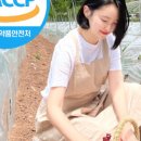 금빛농산물 이미지