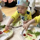 초록어린이집 이미지